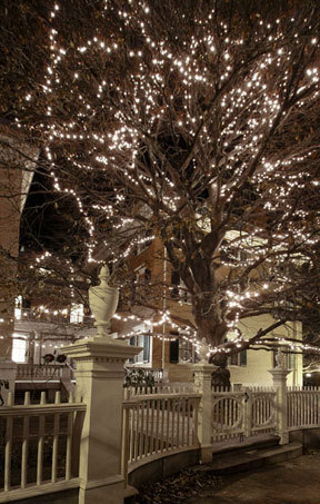 “Nightlight: Artist Intervention & Copper Beech Tree Lighting” begins at 5 p.m. Friday with four light-illuminated window displays designed by Kimberly Convey, acoustic concerts and mini installations throughout the Portland Museum of Art. Outside the museum, a candlelit stroll will take place in the sculpture garden on High Street with holiday choral music by the members of the Vox Nova Chamber Choir. The evening will end with the lighting of the museum’s Copper Beech Tree at 7 p.m. Special this year will be a decorative light installation by Pandora LaCasse.