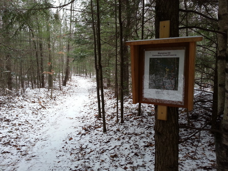 Geocaching can help families learn about new and interesting places to hike, like the Blackstrap Hill Community Forest/Preserve in Falmouth.