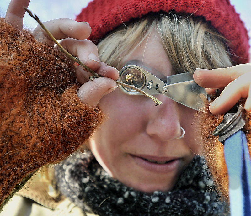 Sarah Wineberg, a winter intern from the College of the Atlantic, gets a close-up view of a twig during a hike at the Hidden Valley Nature Center.