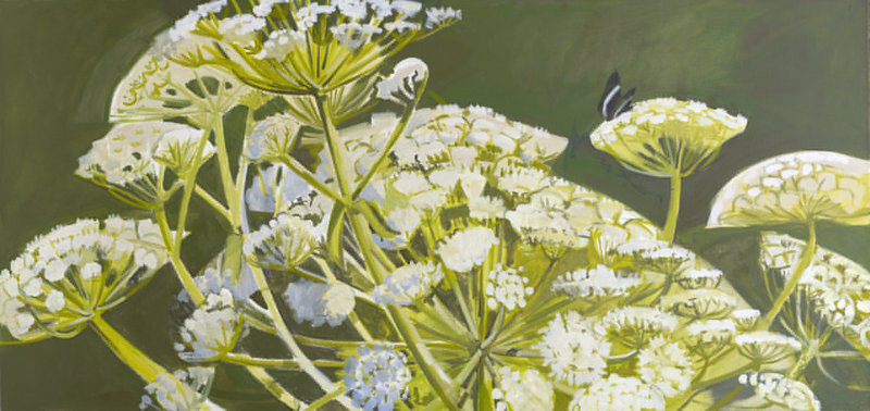 “Cow Parsnip”