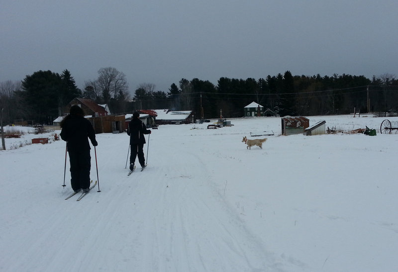 Carter’s in Oxford proved to be a marvelous place after the January storm to break into the cross-country ski season, with beginner and intermediate trails. Plus there’s Maya, the dog that loves to tag along and show the way for visitors.
