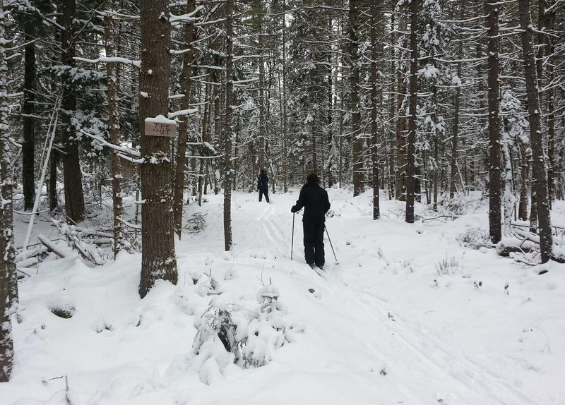 The trails at Carter’s in Oxford are well-marked with wooden signs, but it was just as easily to simply follow the grooming. Carter’s has 40 kilometers of trails.
