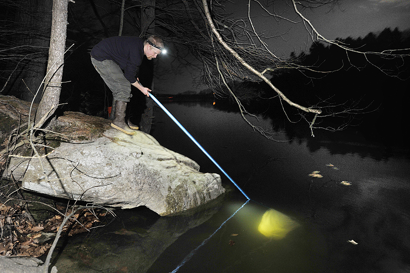 Henry McVane, 21, of Portland fishes for elvers in Falmouth last week. For McVane, a lobsterman who got one of the 50 new elver licenses through a lottery, the elver fishery opens up a chance to earn good pay during what is an off-season for other fisheries.