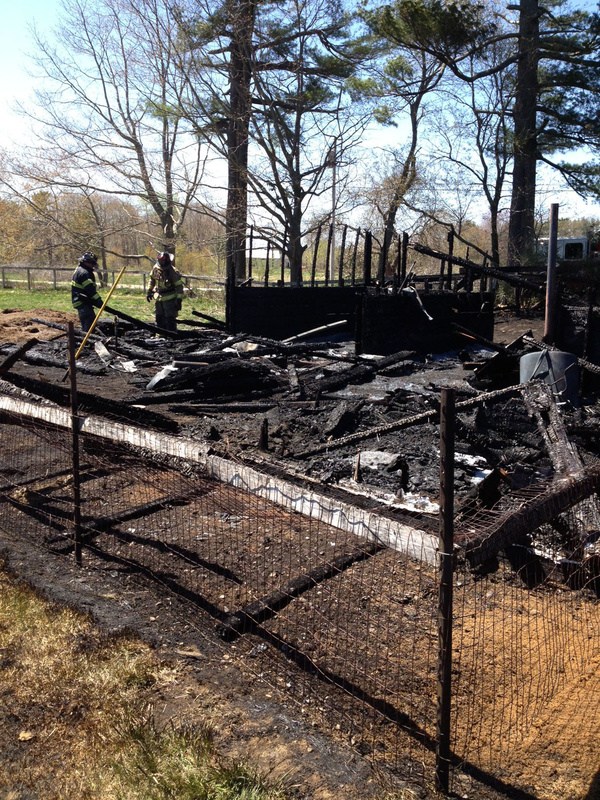Saco firefighters sift through debris at the site of a barn fire Tuesday.
