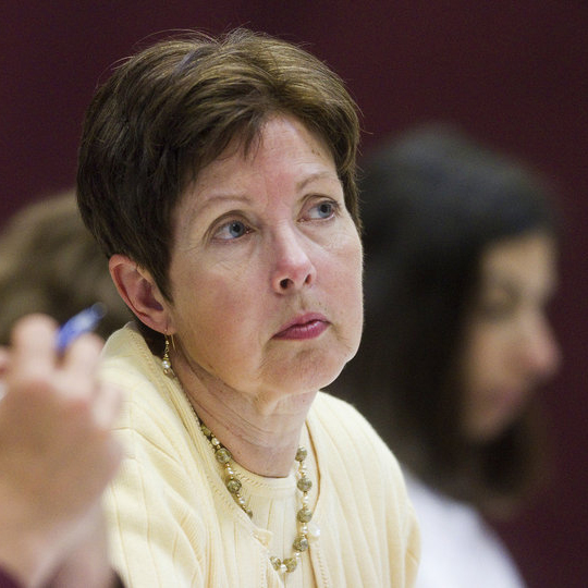 Maine DEP Commissioner Patricia Aho chairs a public hearing on an an 18-turbine wind farm being proposed in Hancock County in this June 6, 2013, photo. The hearing took place at the Airline Community School in Aurora.