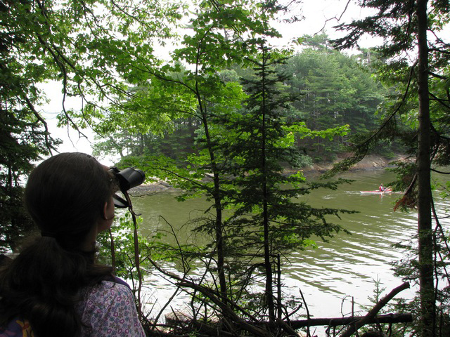 Bring a pair of binoculars when you visit Wolfe’s Neck Woods State Park in Freeport. The kids will love getting a close look at the osprey nest.