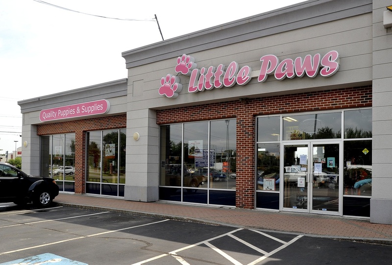 The owner of Little Paws pet store in Scarborough says protesters have influenced her decision to sell the store.