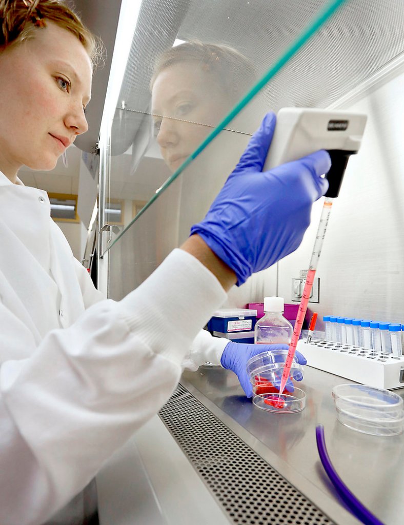 Jacquelyn Ames, a University of Maine graduate student, transfers glucose media into a petri dish which will supply the cells with nutrients in Dr. Peter Brooks' lab at the Maine Medical Center Research Institute in Scarborough on July 1, 2013.