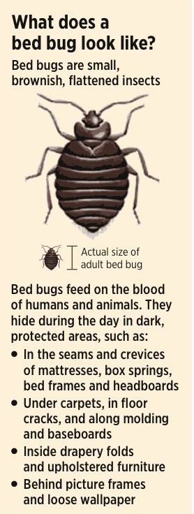 SOURCE: University of Maine Cooperative Extension