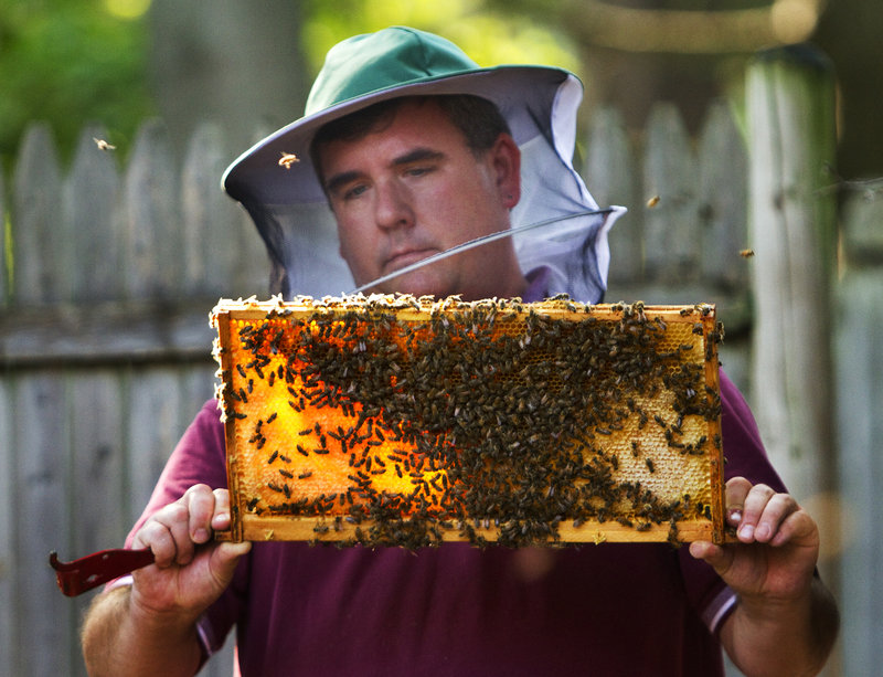 Phil Gaven of The Honey Exchange checks the honey supply and the health of one of his hives behind his Stevens Avenue shop in Portland on Wednesday. Bees and beekeepers have been struggling through one of the worst summers for honey production in Maine in recent memory.