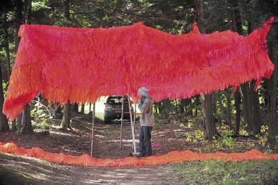 Gabe Kenney, 28, of Pittsburg, helps install an exhibit titled Bloom Bloom by artist Dana Harper, 26, of Colombus, Ohio in the woods during preparations for the first Great North Festival in Norridgewock on Thursday. The first year of the festival will feature music with headliner Beat Antiques and 60 other groups as well as art exhibits.