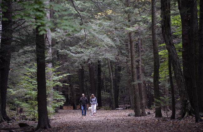 John and Barbara Capasso of Falmouth walk with their dog Phoebe in Mayor Baxter Woods in Portland Friday.