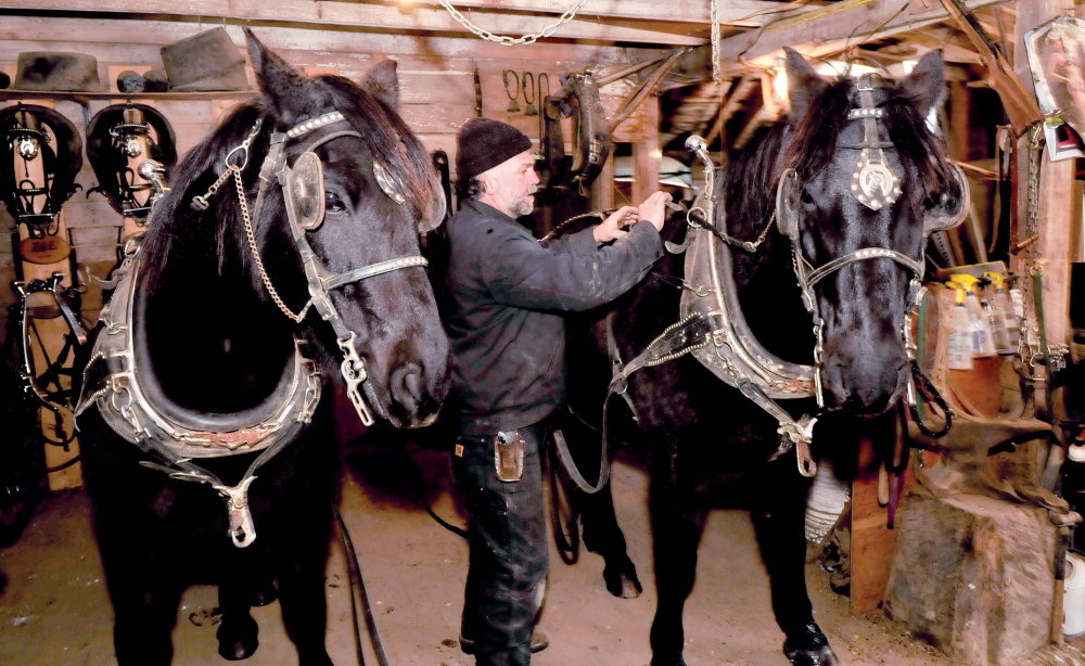 Steve Lemieux hitches up his Hector, left, and Tinoir at his farm in Fairfield.