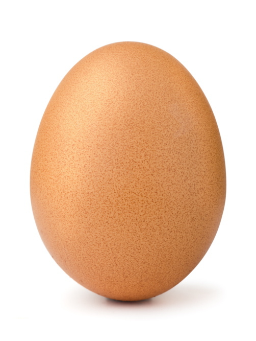 Consider the hungry egghead.