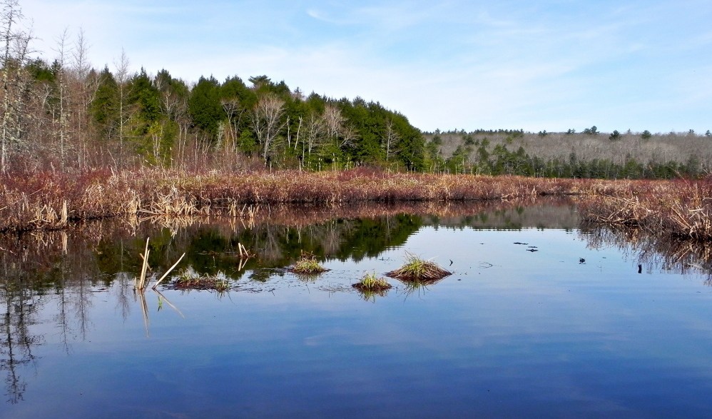 The undeveloped northern end of the Dead River is part of an idyllic canoe outing originating from Alamoosook Lake in Orland. The trip promises sights aplenty and a variety of wildlife, and may tempt you into your first swim of the spring.