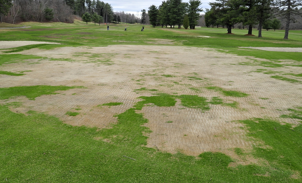 In background, two golfers play to the temporary green Monday on the 4th hole at Riverside Golf Course in Portland. General Manager Ryan Scott said poor turf conditions forced the municipal course to open 12 days later than last year.