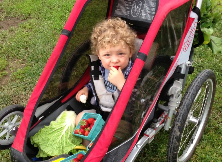 The authorâs son, Theo, enjoys pints of strawberries on a CSA pickup day at Crystal Spring Farm in Brunswick last June. Laura McCandlish photo