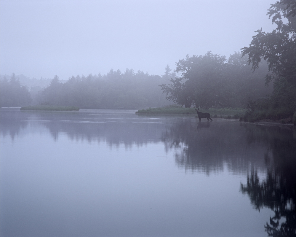 Photos by Scot Miller, part of âThoreauâs Maine Woods: A Journey in Photographs with Scot Millerâ at the Harvard Museum of Natural History