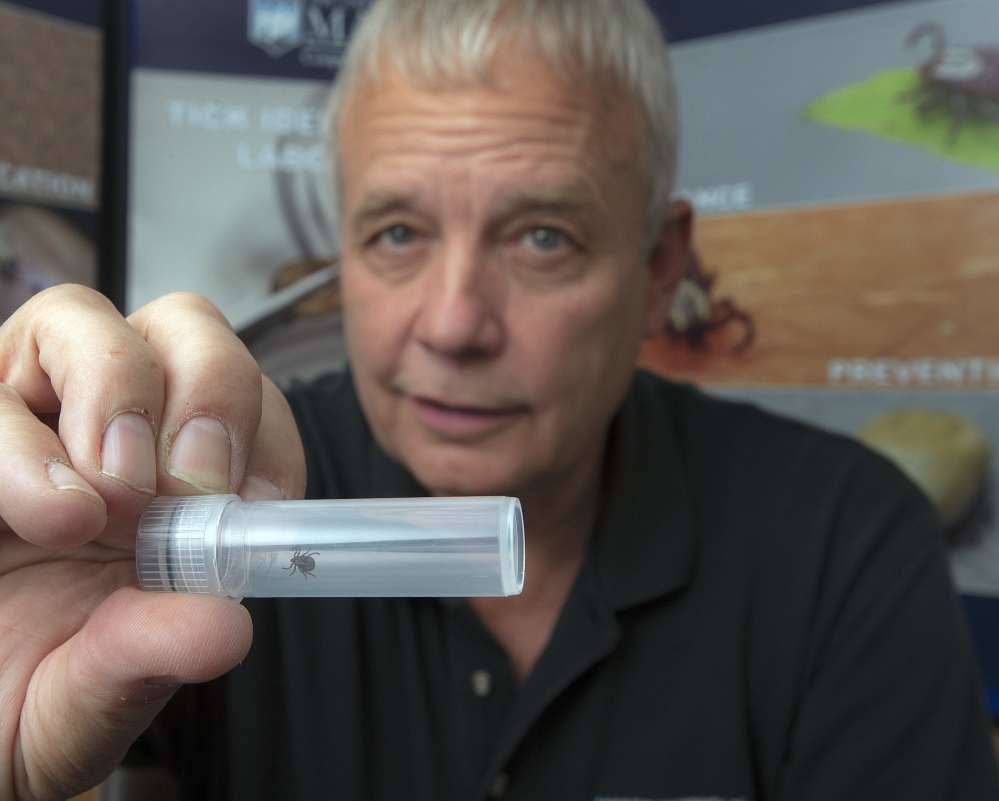 Cooperative Extension pest specialist Jim Dill with a dog tick at his lab in Orono.