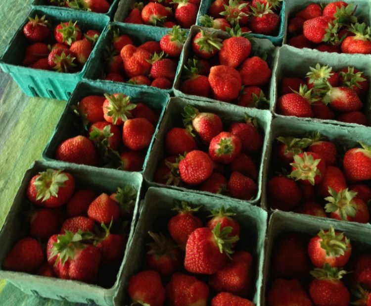 Maine strawberries