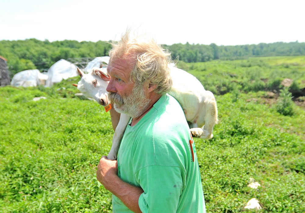 Mark Gould, 61, carries a wayward goat back to the stables at his Norman Road farm Tuesday in Sidney. Gould’s goats have been escaping through a state-built fence to land beside Interstate 95.