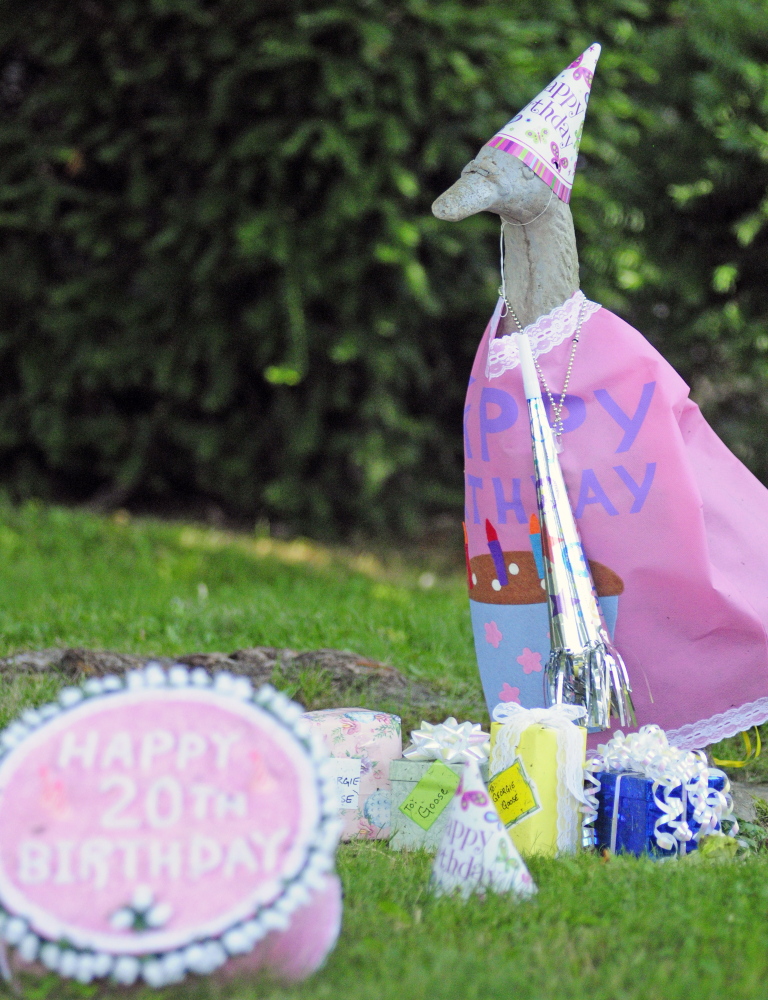 Georgie wears birthday attire Wednesday. Marjorie Scott has been dressing up the goose daily for 20 years because of the joy she and the goose could bring to others. “Everyone loves him,” she said.