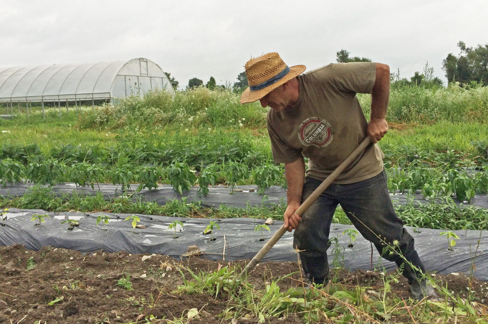 Surik Mehrabyan, a physicist from Armenia, spades soil to make a raised bed for growing potatoes on his quarter-acre plot at the Groundswell Center incubator farm in Ithaca, N.Y. The Associated Press