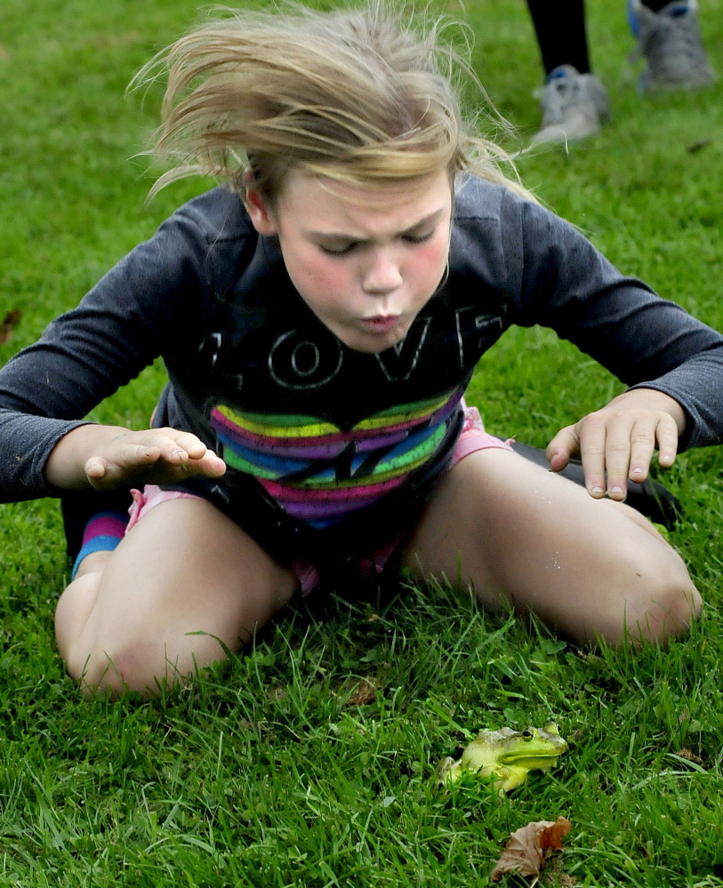 Brianna Michaud urges her bullfrog Kermit to jump by blowing and hitting the ground during a spirited frog jumping contest during the Oosoola Fun Day in Norridgewock on Monday. Briana and Kermit were the winners in the 9-11 age group. Kennebec Journal Staff Photo by David Leaming