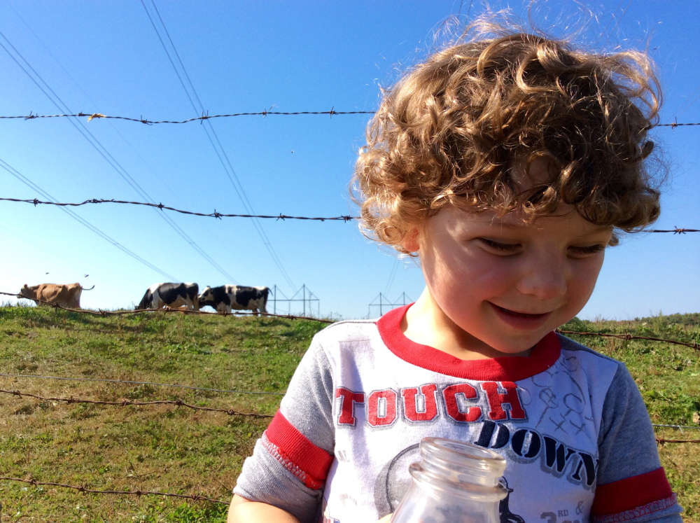 The author’s son loves his cow’s milk, causing his parents to look into whether that contributes to iron deficiency.