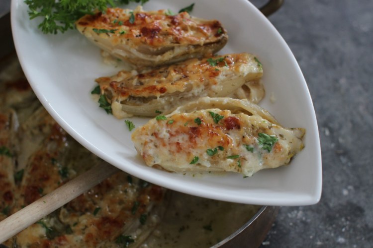 Belgian endive gratin