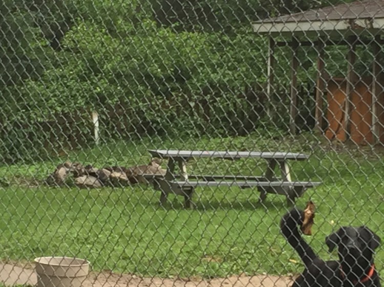 A ring of large stones marks the fire pit behind 79 Mill St. in Raymond where investigators say Timothy Small, 52, fell into a bonfire in the pit, receiving critical burns that led to his death at a Boston hospital the following day.