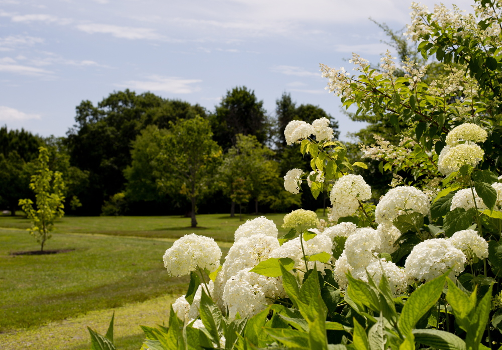 The Portland Arboretum in Payson Park.