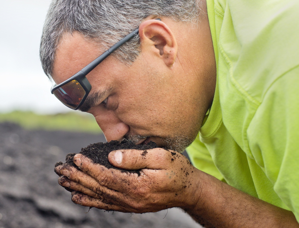 Amaral smells a handful of compost that is in the curing stage. Americans waste a lot of food, and estimates are that only 4 percent of food waste that could be composted is.