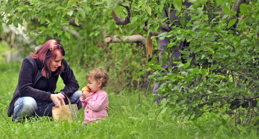 Alex Brokordt chats with Aravis Epley as the 2-year old’s mother, Christina Epley, picks more apples Tuesday at Lakeside Orchards in Manchester.