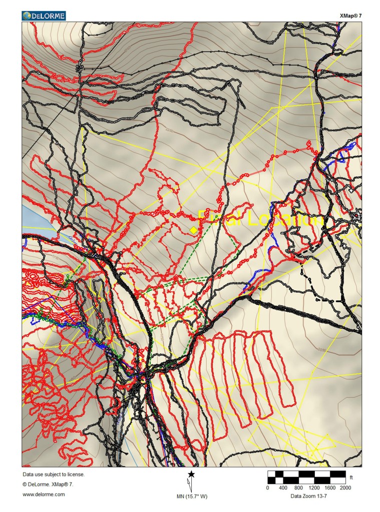 This map shows the tracks of searchers and the location where the remains of Geraldine Largay were found.