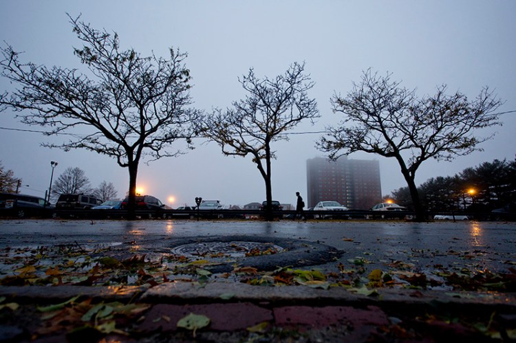 A man walks to work along Congress Street past bare trees and a rainy roadway after an overnight storm pounded much of Southern Maine.