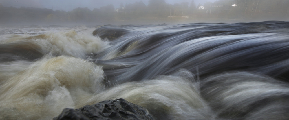 An increase in the water temperature in the Gulf of Maine is one of the symptoms of an environmental crisis we ignore at our peril.