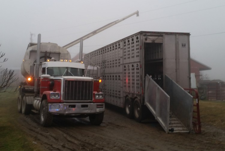 The driver of a grain truck, left, suffered an electric shock and was taken to the hospital after the boom on the truck struck high-tension wires while he was unloading grain at Shady Lane Farm in New Vineyard Wednesday.