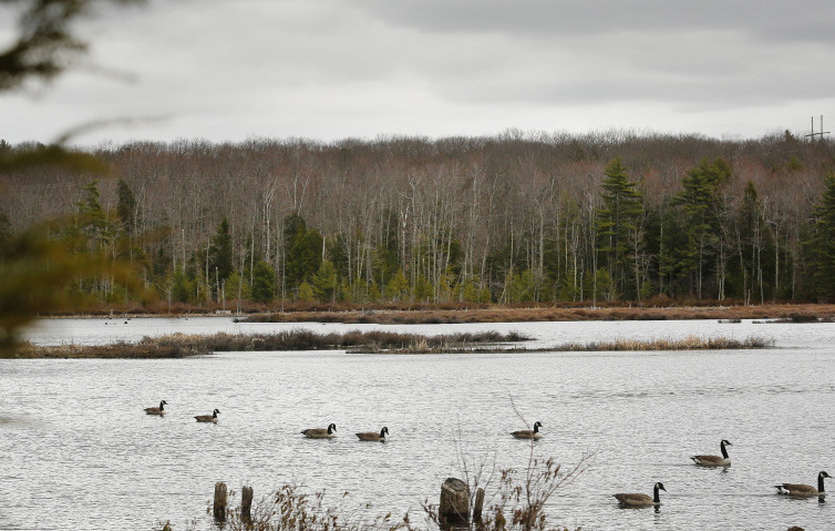 A voter-approved conservation plan for Knights Pond in Cumberland was almost sunk by the governor’s intransigence. It was rescued by private donors, but other deals were threatened by his meddling.