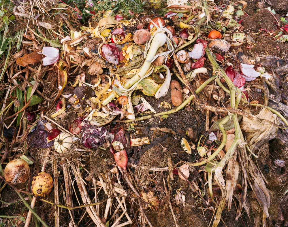 “Reclamation #54” is one of two Christine Collins photographs in the Portland Museum of Art's biennial exhibition.