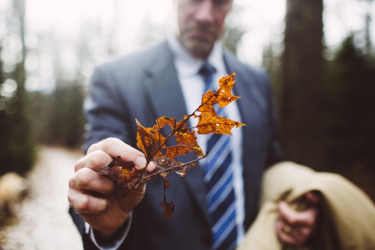 Cape Elizabeth Tree Warden Mike Duddy holds an oak leaf damaged by winter moths in a portion of the woods in Cape Elizabeth along the Greenbelt Trail.