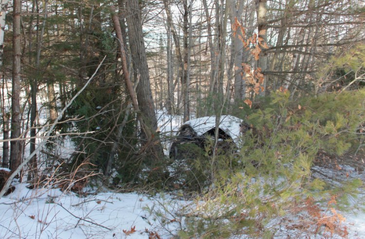 The Honda Civic drivern by Ian Carter left I-295 and struck a tree near the Route 201 exit. Carter was killed in the crash.