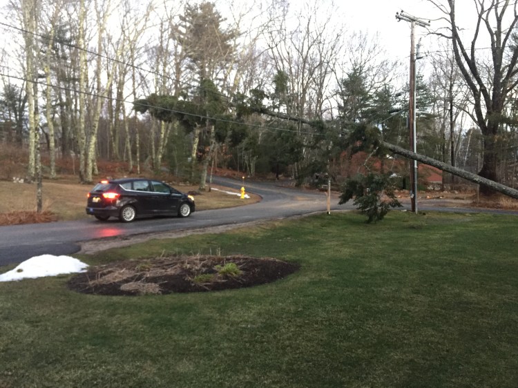 A tree hovers over Cushing Briggs Road in Freeport, suspended by power lines Monday after a Sunday storm brought heavy winds and rains.