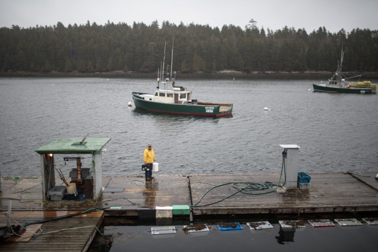 Don Gower checks out the water at Pinkham Point in Harpswell.
Gabe Souza/Staff Photographer