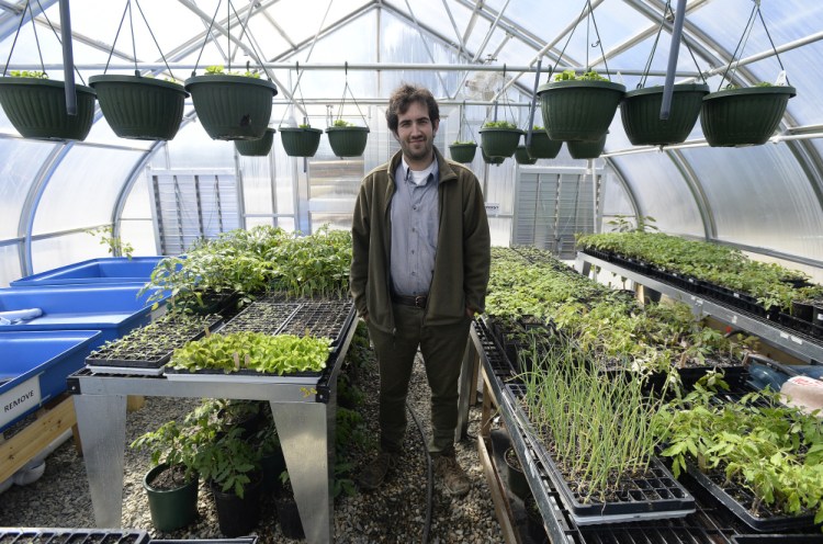 Horticulture teacher Ryan Martin in Isleboro Central School's greenhouse. Students at the school eat the vegetables and fruits they help grow, and fish from the aquaponics program they help manage.