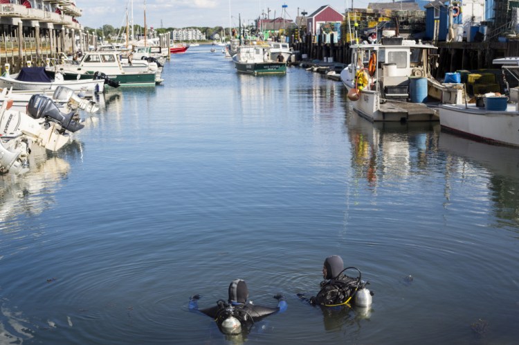 Divers prepare to search under Chandler's Wharf in Portland for Matthew Foster of Scarborough.