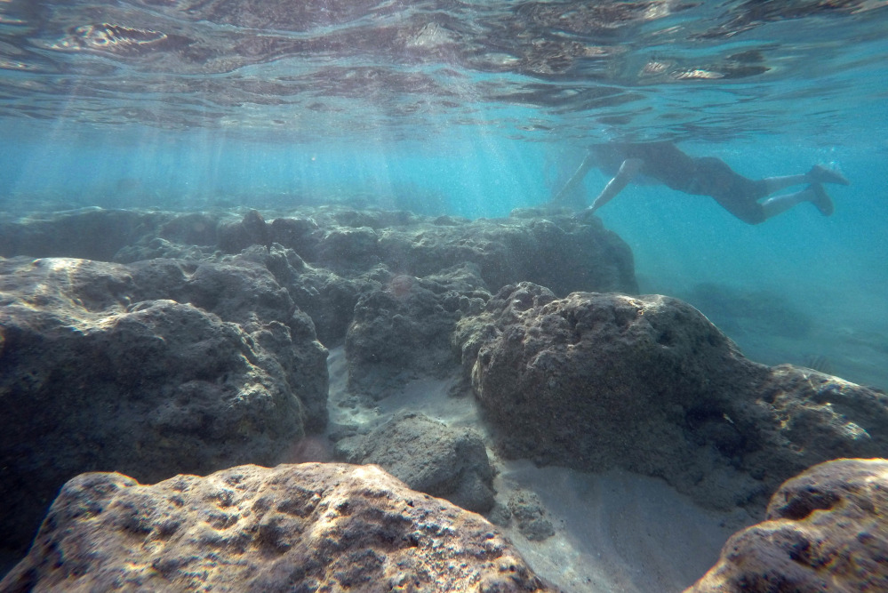 A shallow reef once teeming with marine life in Oahu's Hanauma Bay is largely dead after decades of tourist interaction. Climate change is also cited.