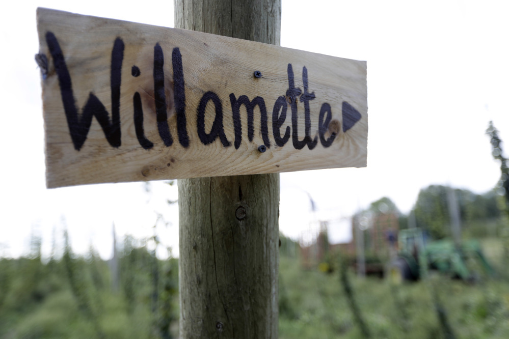 A sign at a Gorham farm marks a field of hops typically grown in Oregon. Hop growers, once located exclusively in the Pacific Northwest, are branching out to nontraditional states, like Maine.