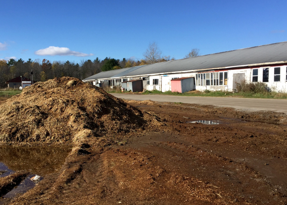 SCARBOROUGH, MAINE - OCTOBER 31: One of a few piles of horse manure near the barns at Scarborough Downs. The track's owners say they have been cited for polluting nearby marshes and must close the barns.  (Photo by Kelley Bouchard/Staff Writer)