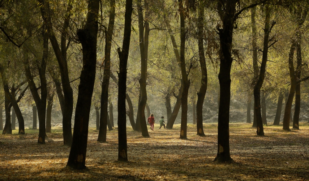 Kashmiri children play last October in a forested portion of Wular Lake. Other parts of the lake have become fetid swamps where mosquitoes thrive. 